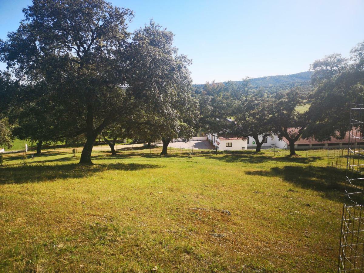 Casa Rural La Dehesilla Cazalla de la Sierra Bagian luar foto